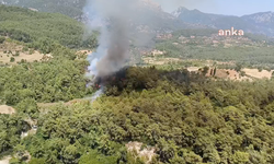 Milas'ta ormanlık alanda yangın çıktı
