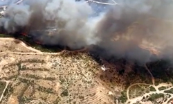 Çeşme'deki orman yangınında 3 kişi hayatını kaybetti