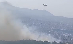 İzmir Buca'da orman yangını