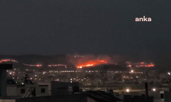 Şanlıurfa Germuş’ta makilik alanda yangın