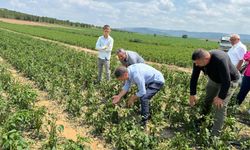 CHP’li Sarıbal'dan tarım alanlarına ziyaret: Zorunlu tarım sigortası derhal devreye sokulmalı