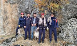 Konya'da kayalıklarda mahsur kalan keçi kurtarıldı