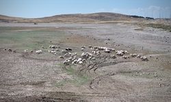 Erciyes Dağı'ndaki Tekir Göleti kuraklığın etkisiyle büyük ölçüde kurudu