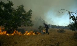 Aydın Germencik'te zeytinlik ve ormanlık alanda çıkan yangına müdahale ediliyor