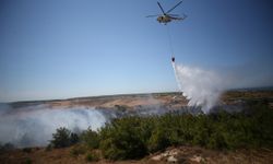 GÜNCELLEME - Bozcaada'da tarım arazisinde çıkan yangın ormana sıçradı