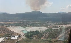 GÜNCELLEME - İzmir'in Menderes ilçesinde çıkan orman yangını kontrol altına alındı