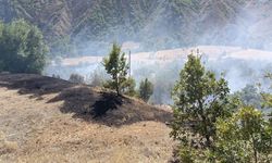 GÜNCELLEME - Tunceli'de ormanlık alanda çıkan yangın kontrol altına alındı