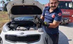 Hatay'da cipin motor kısmına sıkışan kedi yavrusunu itfaiye kurtardı