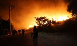 İzmir'in Urla ilçesinde makilik alanda yangın çıktı