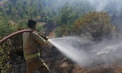 Kahramanmaraş'ta çıkan orman yangınına müdahale ediliyor