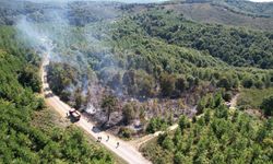 Sakarya'da ormanlık alana sıçrayan yangın kontrol altına alındı