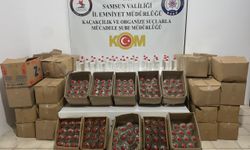 Samsun'da 706 litre etil alkol ele geçirildi