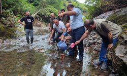 Samsun'da dereye 5 bin kırmızı benekli alabalık yavrusu bırakıldı