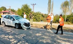 Sinop'ta ineğe çarpan otomobildeki 2 çocuk yaralandı