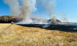 Sivas'ta çıkan yangında 40 dönümlük buğday tarlası zarar gördü