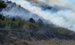 Tokat'ta çıkan yangında yaklaşık 5 hektarlık ormanlık alan zarar gördü