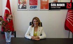 CHP Kadın Kolları Genel Başkanı Kaya: Taşra kadınının sesi olacağız