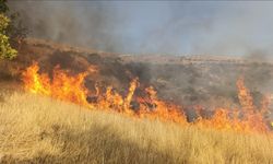 Tunceli'de otluk alanda çıkan yangın söndürüldü