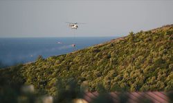 Aydın'da yangında zarar gören zeytinlik ve ormanlık alan havadan görüntülendi