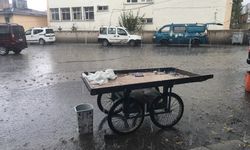 Ağrı'da sağanak ve dolu etkili oldu