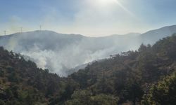 Hatay'da çıkan orman yangını kontrol altına alındı