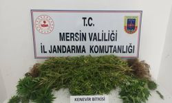 Mersin'de uyuşturucu operasyonunda 4 zanlı yakalandı