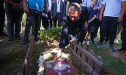 Tedavi gördüğü klinikte ölen kedi Şero, CHP Genel Merkezi'nin bahçesine gömüldü