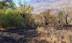 Tunceli'de ormanlık alanlarda çıkan yangınlar söndürüldü