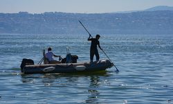 İzmir Körfezi'nde balık ölümleri devam ediyor