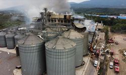 Sakarya'da patlama yaşanan makarna fabrikasında üretim 6 ay duracak