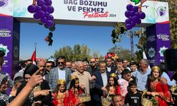 Aksaray'da "3. Bağ Bozumu ve Pekmez Festivali" yapıldı