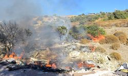 Bodrum'da makilik alanda çıkan yangın söndürüldü