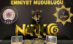 Çanakkale'de 1 kilo 700 gram skunk ele geçirildi