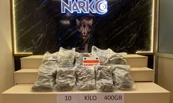 Edirne'de 10 kilo 400 gram skunk ele geçirildi