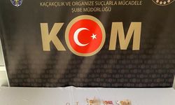 Kütahya'da telefonla dolandırıcılık yapan şüpheli tutuklandı