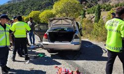 Malatya'da yön levhasına çarpan otomobildeki 3 kişi yaralandı