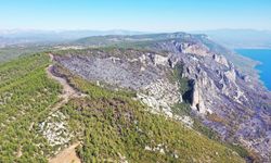 Menteşe'de ormancılar 6 kilometre "yangın şeridi" açarak alevlerin önünü kesti