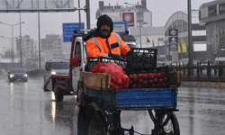 Van'da sağanak etkili oldu