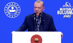 Erdoğan: Gezi olaylarında kamp kuranları Filistin ve Lübnan'da göremedik