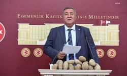 Ömer Fethi Gürer: Kışlık patatesler kamu eliyle alınmalı