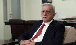 "Çözüm süreci" gündemine ilişkin Ahmet Türk: Zaman gösterecek