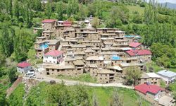 Fotoğraf tutkunları Bitlis'teki taş evleri görüntüledi