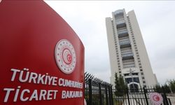 Ticaret Bakanlığı 2 şirketi "dış ticaret sermaye şirketi" listesine ekledi