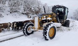 Amasya’da 107 köy yolu ulaşıma kapandı