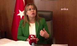 CHP'li Karaca'dan Denizli'deki yangına ilişkin açıklama: "MGI firması neden korunuyor?"