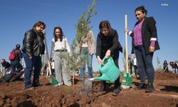 Katledilen kadınlar için Diyarbakır’da fidan dikildi