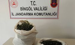 Bingöl'de 7 kilo 150 gram esrar ele geçirildi