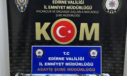 Edirne'de "change" oto şebekesine operasyon