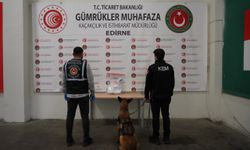 Edirne'de sınır kapılarındaki uyuşturucu operasyonunda 3 şüpheli yakalandı