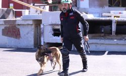 İHH arama kurtarma köpeği ve eğitmeni 122 arama timi arasında birinci oldu